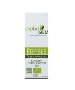 Erable (Acer campestre) bourgeon BIO, 50 ml